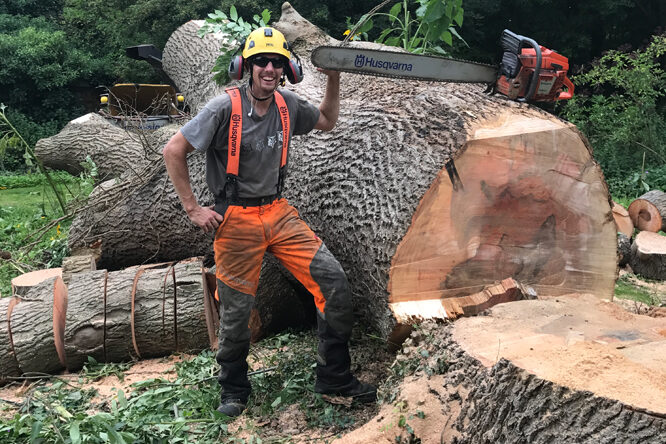 Tree Felling